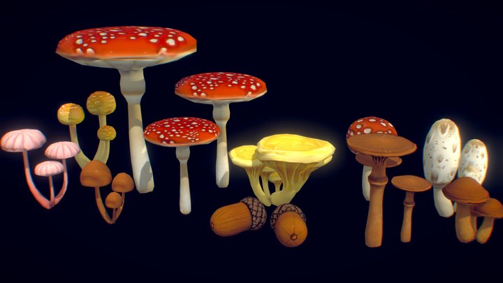 Mushrooms 3D Model