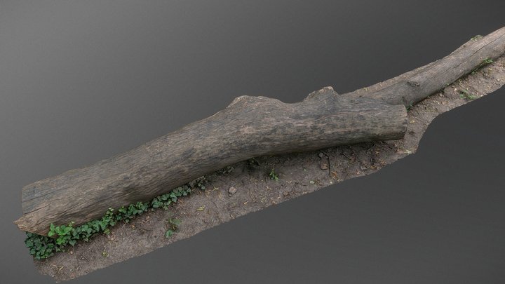 Ivy trunk – Modelo 3D gratuito STL