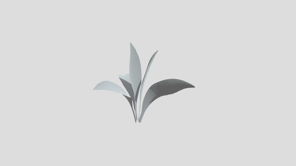 Haran Cast Iron Plant Sapling
