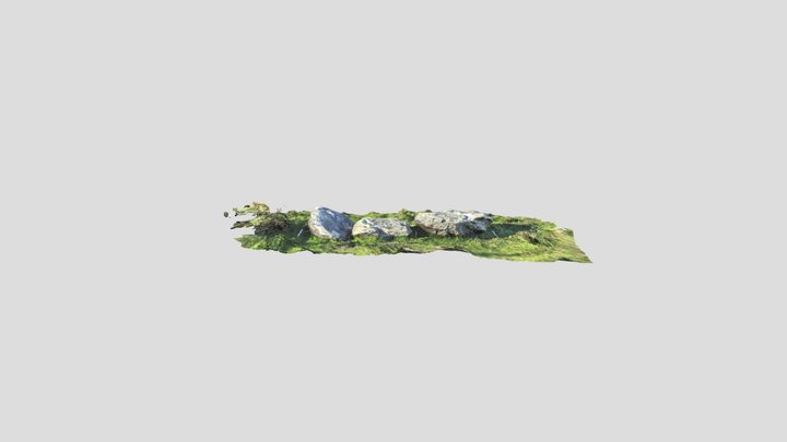 Brière 2021 - OA187063 | M.LP | S-556 | 46-47-48 3D Model