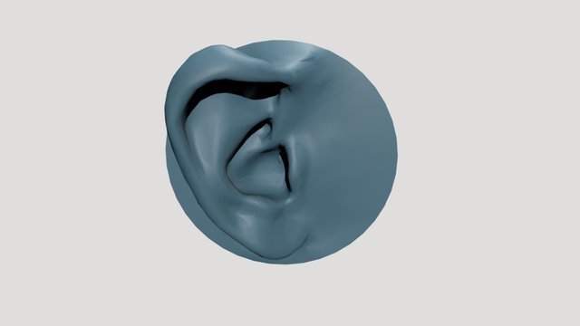 3D Ear Scan 3D Model