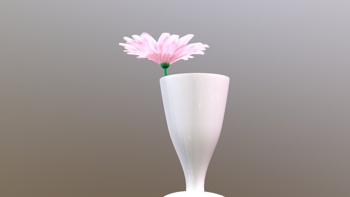 Gerbera daisy 3D Model
