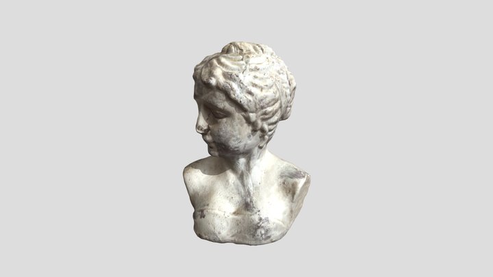 Busto donna in gesso 3D Model