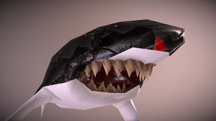 Shark 3D Model