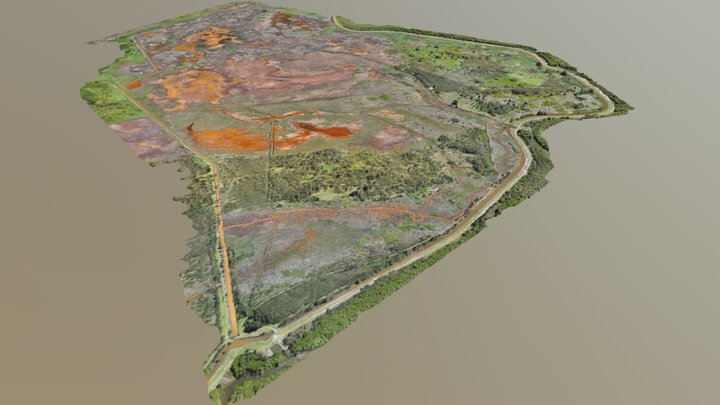 Tomago Wetland Drone Survey 3D Model