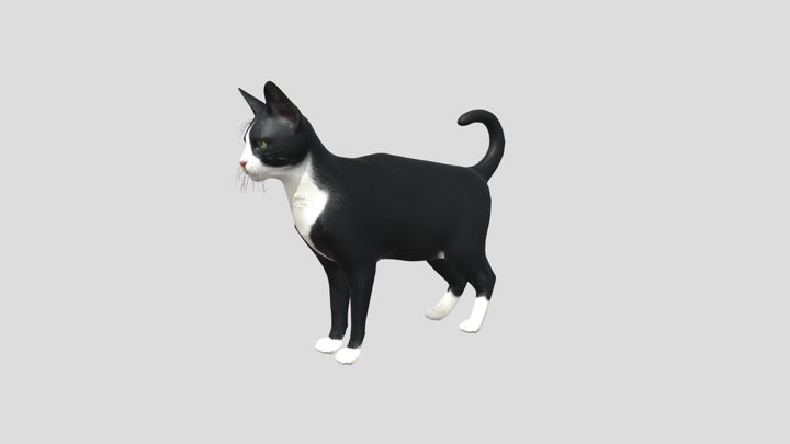 Tuxedo Cat In Profile – Kostenloses 3D-Modell STL