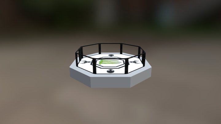 octagon inside 3D Model