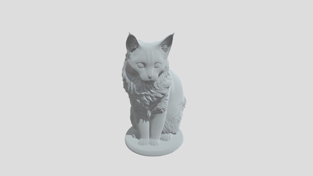 Kittyr