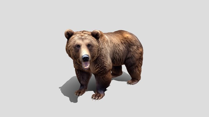 Open Mouthed Brown Bear 3d model free