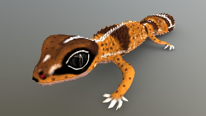 African Fat Tailed Gecko 3D Model