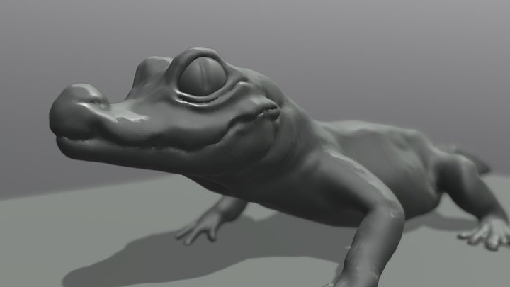 baby croc 3D Model
