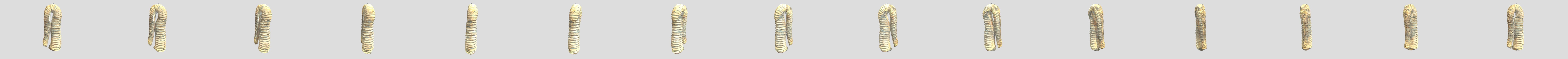LACMIP 9951.3 Hamiticeras pilsbryi 3D Model