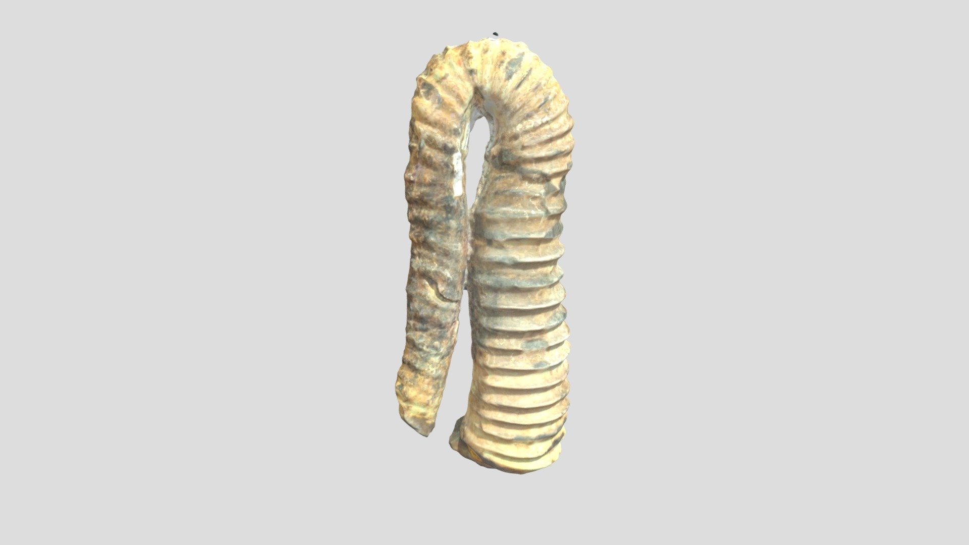 LACMIP 9951.3 Hamiticeras pilsbryi — Sketchfab embed 3D viewer