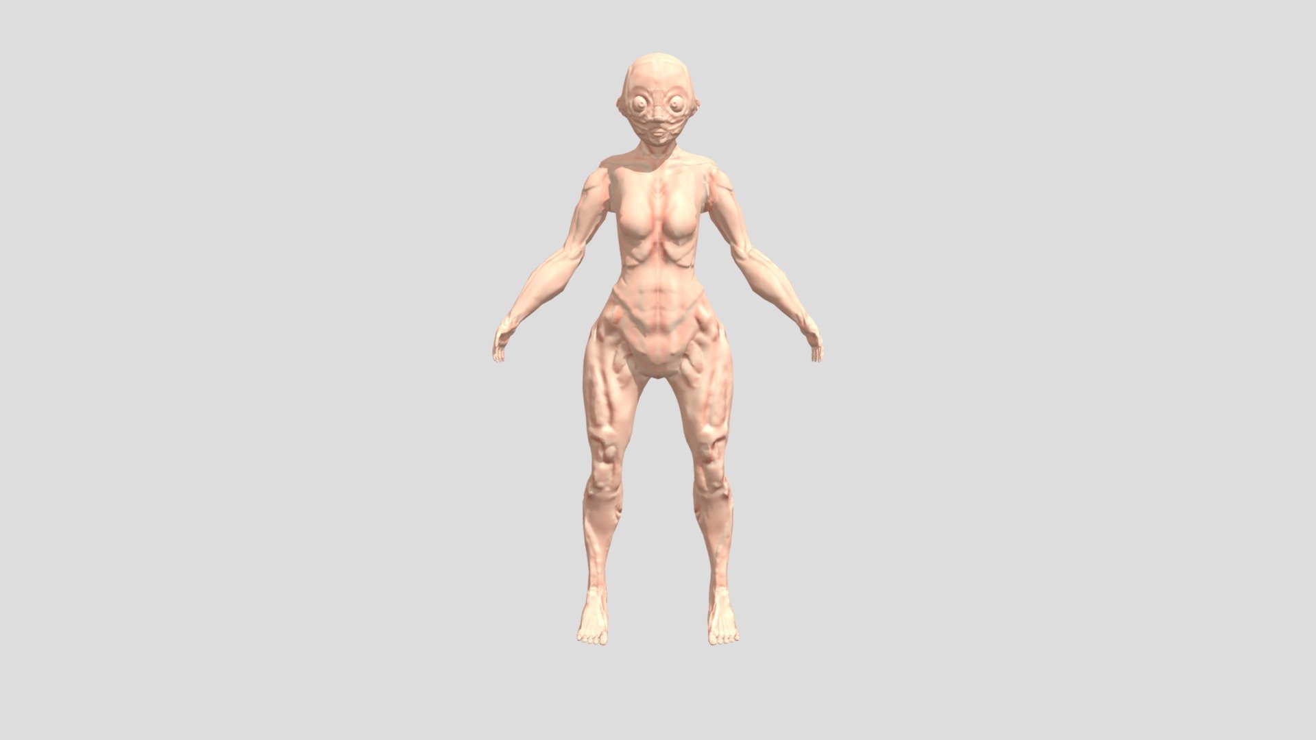 Basemesh Modelado