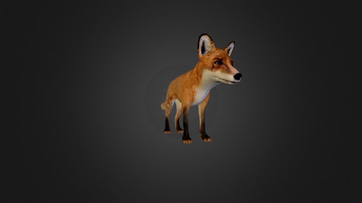 fox_bump.zip 3D Model