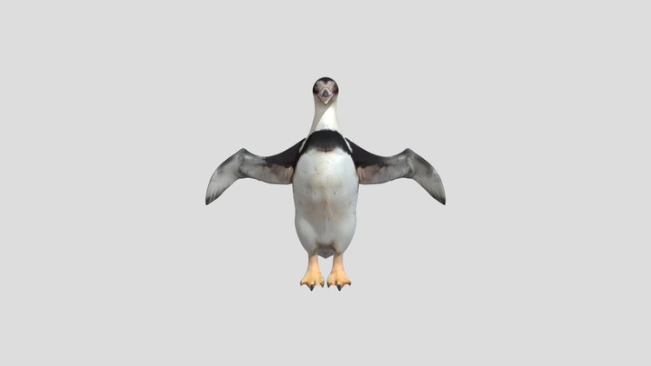 Waimanu 3d Free model 3D Model