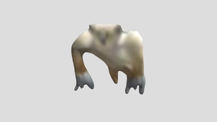 burrowing bear 3D Model