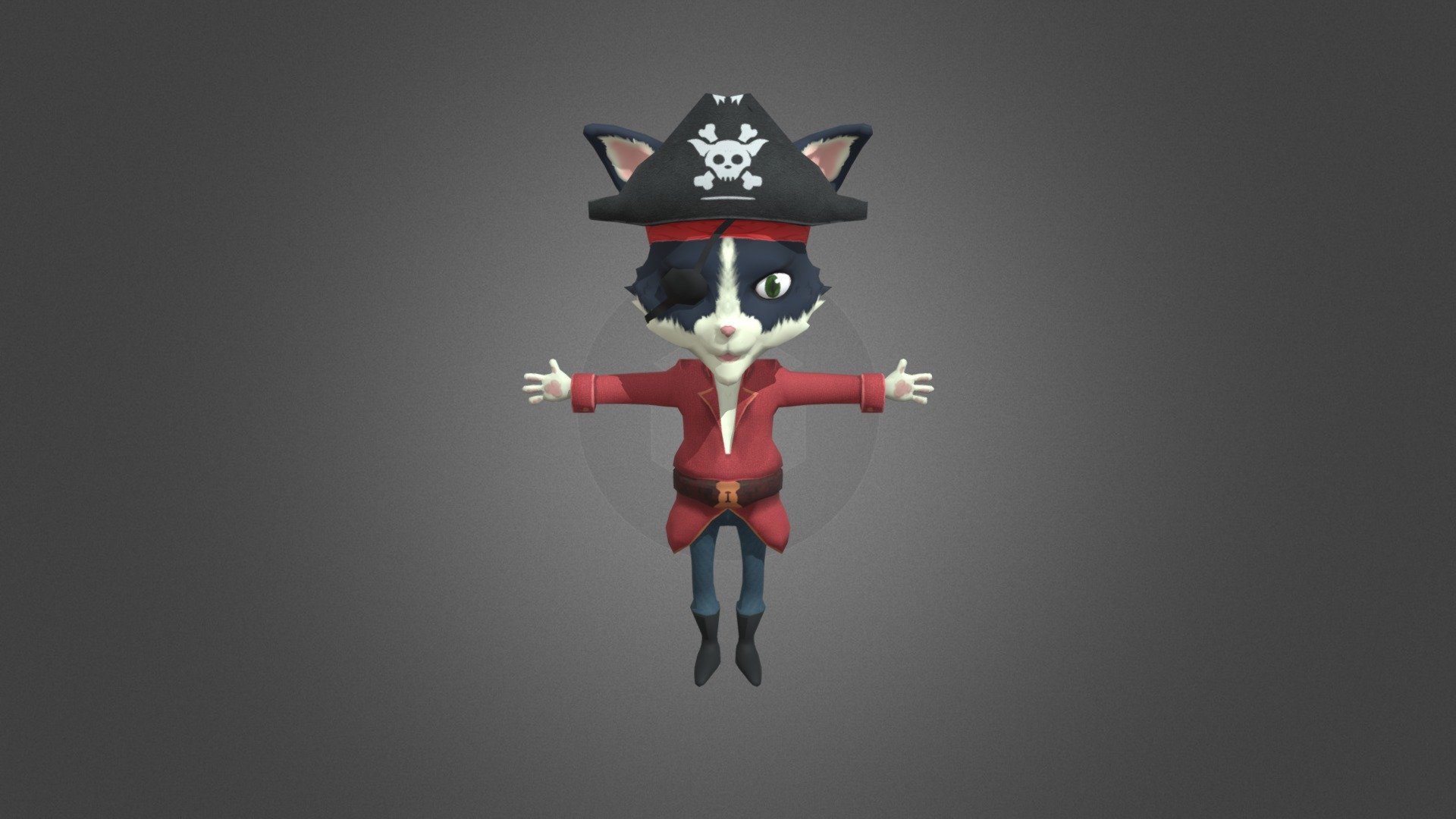 Pirate Cat Mırmır