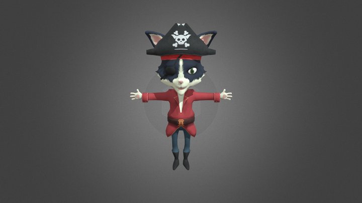 Pirate Cat Mırmır 3D Model