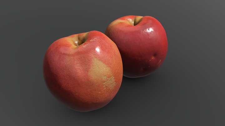 Nectarine fruit Photoscan 3D Model
