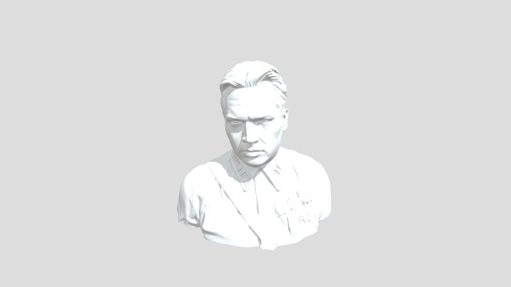 Commander in Focus 3D Model