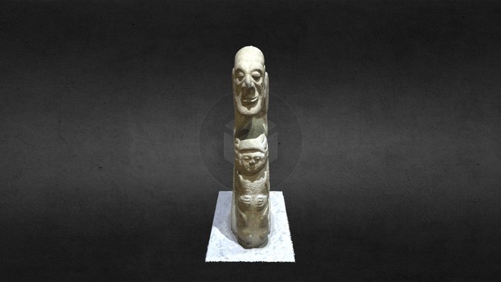 Viejo 3D Model
