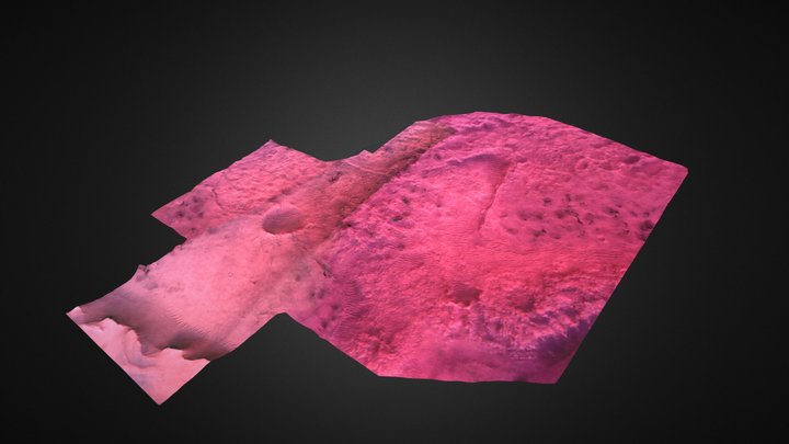 Perseverance on Mars 3D Model