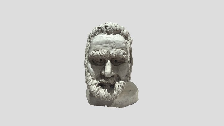 Head Sculpt (PhotoGrammetry) 3D Model