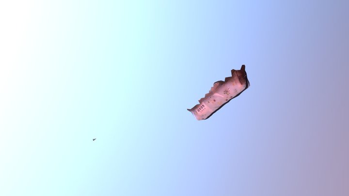 กระเป๋า2 No BG 3D Model