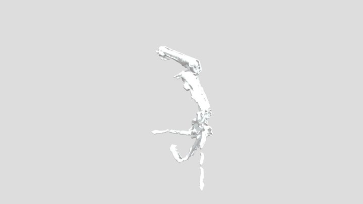 Longhand Cretaceous Vertebrate Digits in Burmite 3D Model