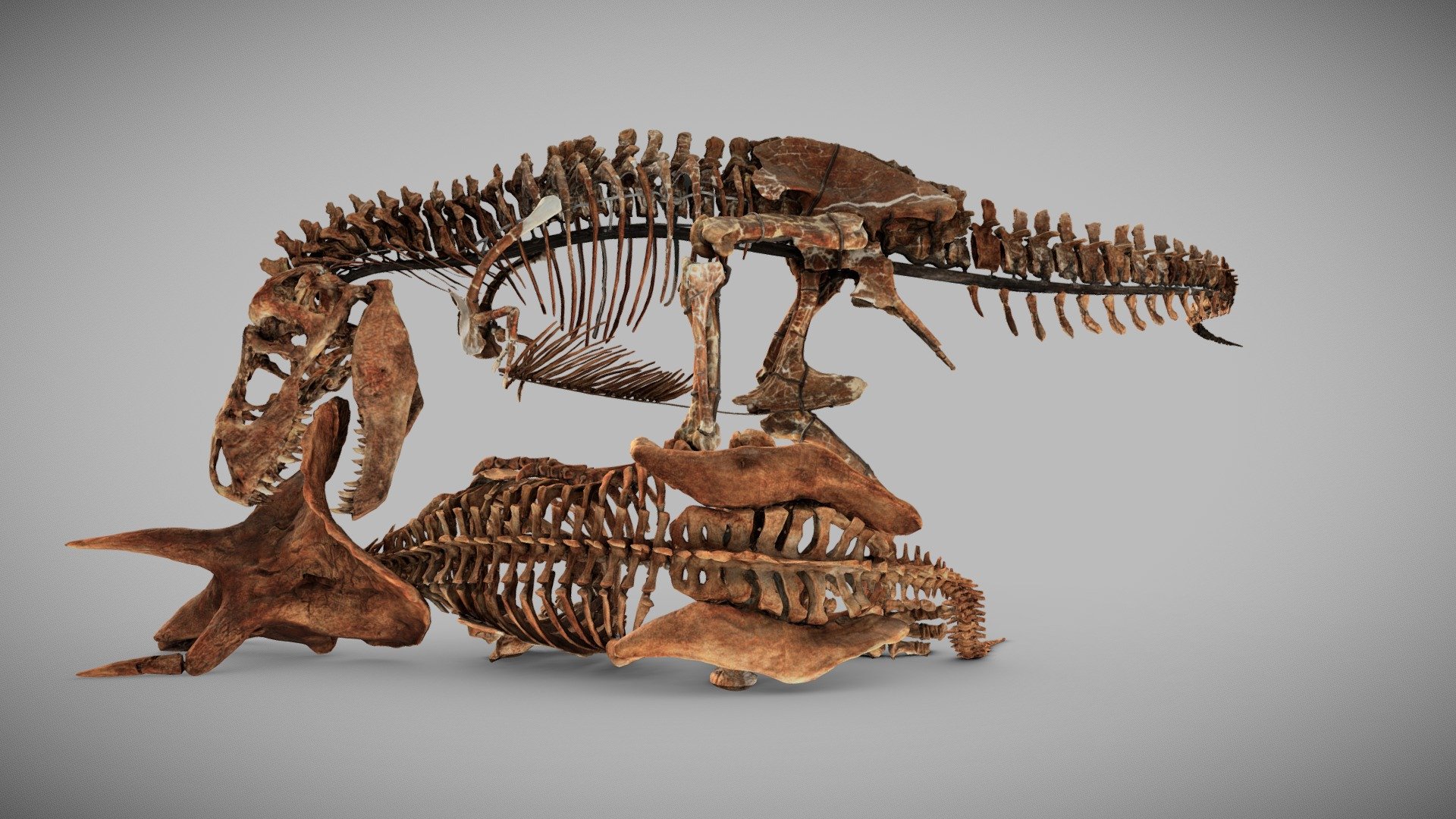 Vibrant google chrome dinosaur 3d model