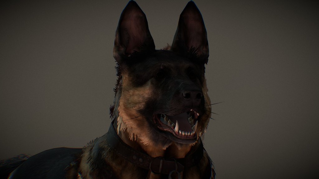 COD: Ghost's Riley
