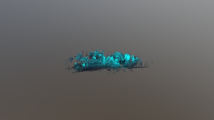 Glen Affric riverbed 1 3D Model