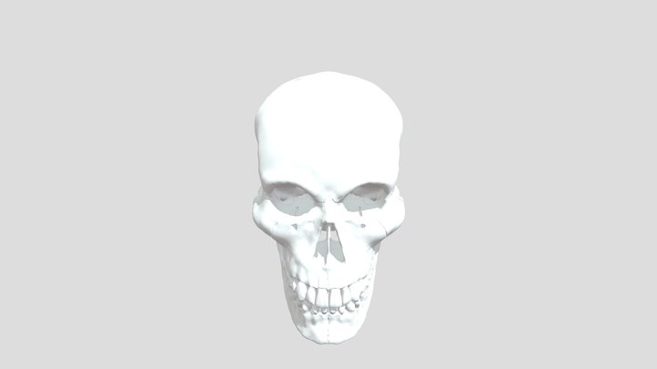 skullparts 3D Model
