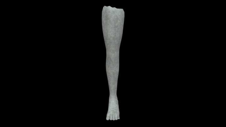 Leg Statue 3D Model