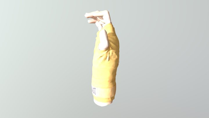Hand 3D Model