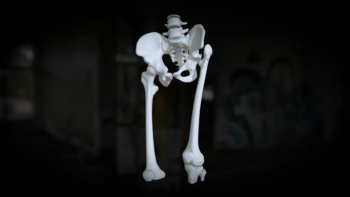 S0001 3D Model