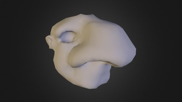 Head Sculpting Practice 3D Model