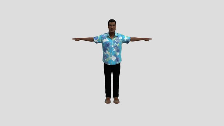 Hawaiian Shirt Vibe