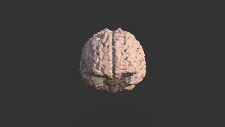 Segmentation Segment 1 3D Model