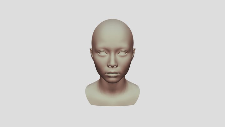 model 3D Model