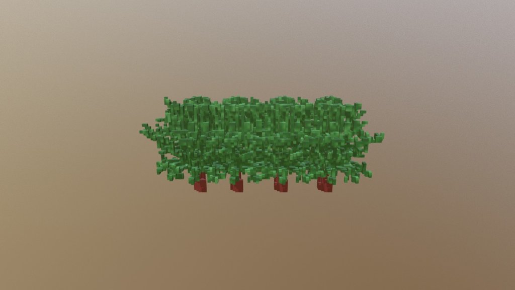 SM Plant 01T