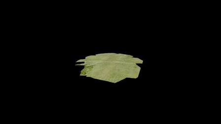 Ply 3D Model