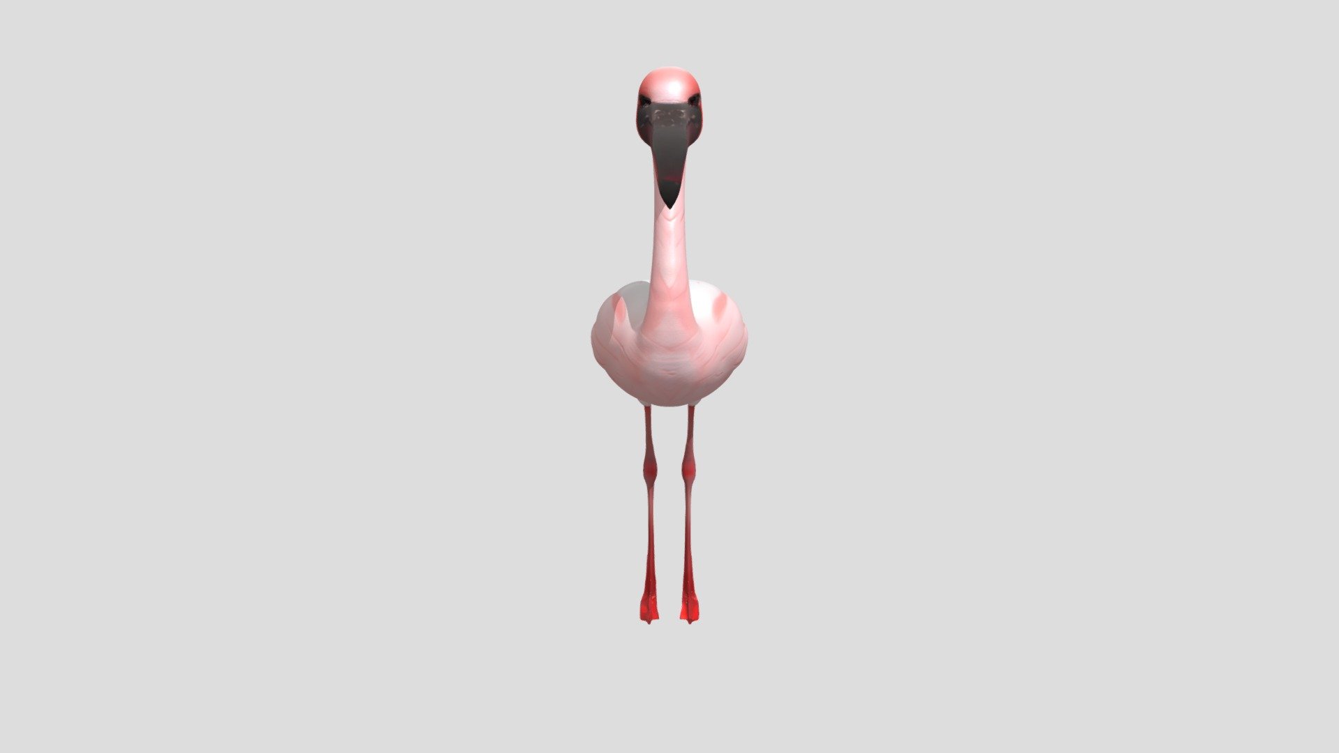 Lesser flamingo - Download Free 3D model by faerbogdan99 [ea0e717 ...