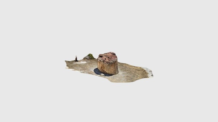 Lesvos petrified fossil forest 3D Model