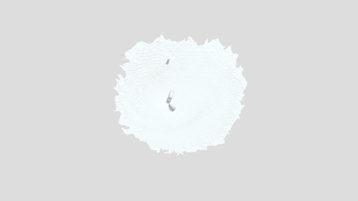 Circular_ Merged_simplified_3d_mesh 3D Model