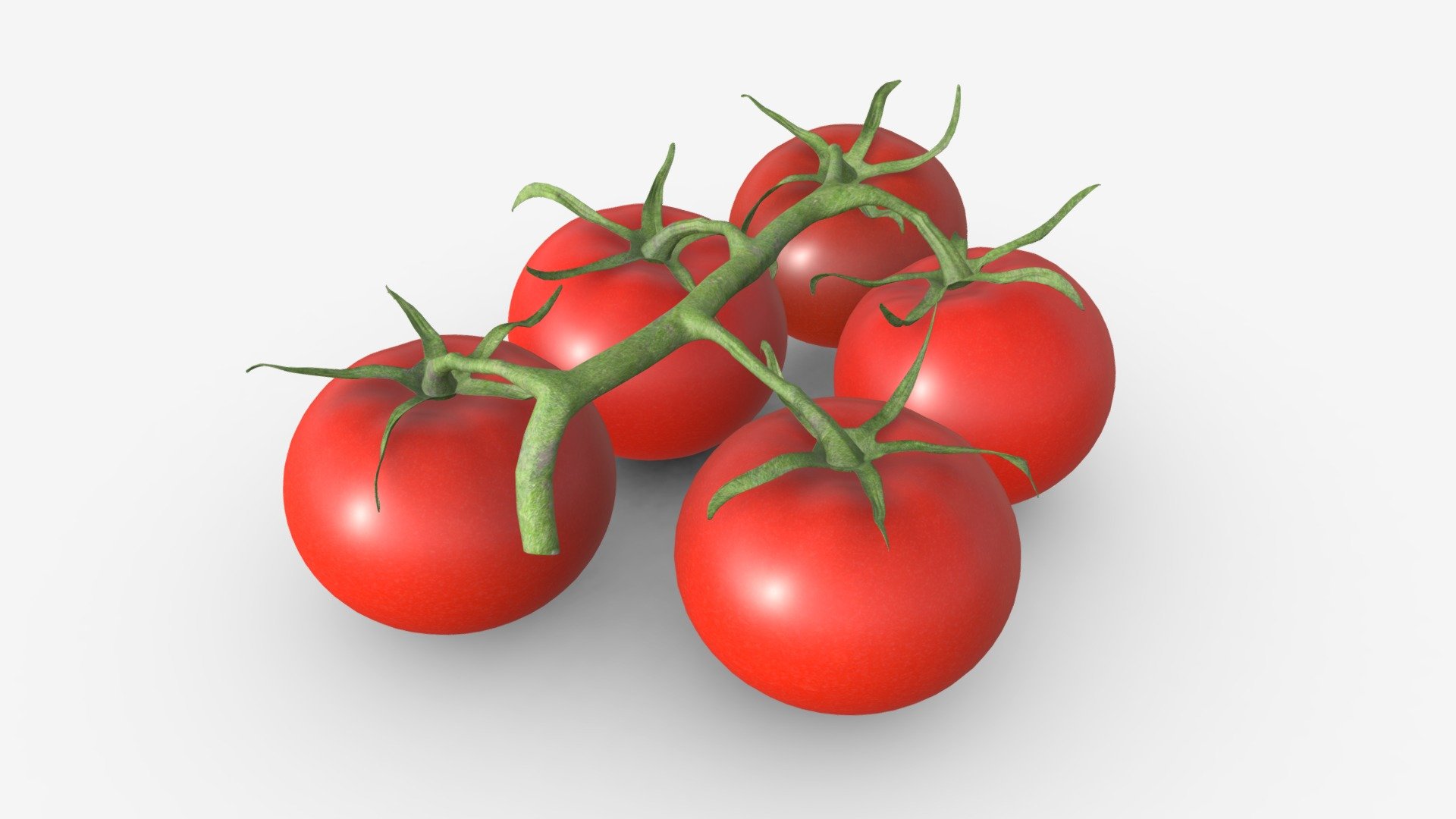 Tomato branch 02