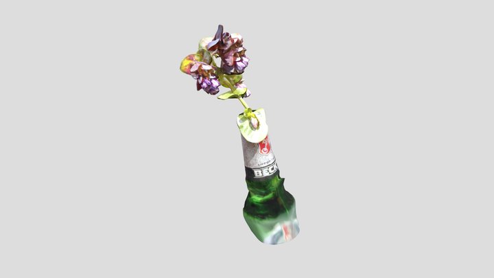 Cerinthe 1 – Modèle 3D gratuit STL