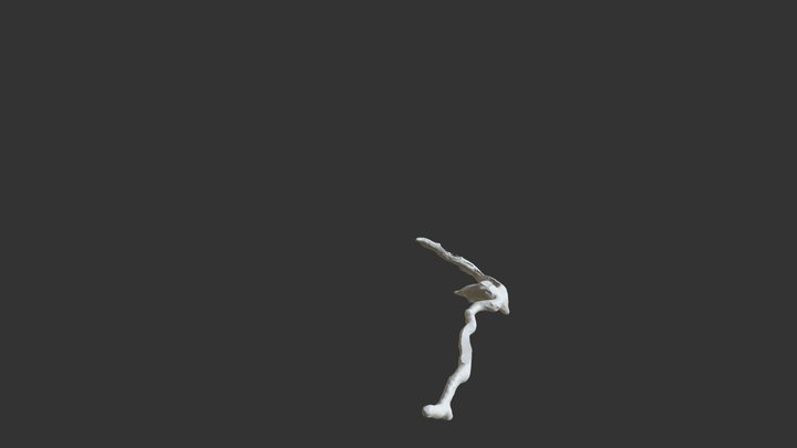 Ctenomys azarae burrow 756zbrush 3D Model