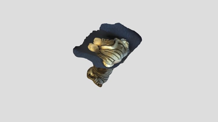Modelo_Marcela Melidoro 3D Model